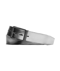 Style BLT24 Silver Front View